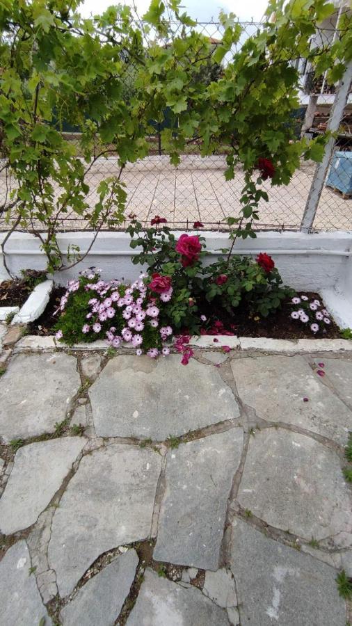 Keti'S Apartments Néa Mudaniá Kültér fotó